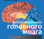 Атлас анатомии головного мозга. Вулси Т. А. , Ханауэй Дж., Гадо М. Х. 2020г.