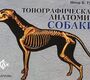 Топографическая анатомия собаки Питер К. Гуди. 2013г.