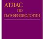 Атлас по патофизиологии.2-е изд., перераб. и доп. Войнов В.А. 2007г.