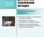 Ультразвуковая диагностика заболеваний желудка. Руководство.  Лемешко З.А., Османова З.М. 2016г.