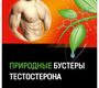 Природные бустеры тестостерона. Греков Е.А., Тюзиков И.А. 2023г.