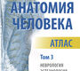 Анатомия человека. Атлас в 3-х томах. Том 3. Неврология, эстезиология. Колесников Л.Л. 2022г.