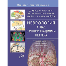 Неврология. Атлас с иллюстрациями Неттера. Фелтен. 2025г.