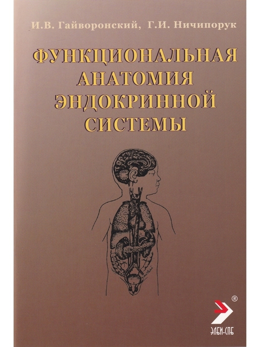 Функциональная анатомия эндокринной системы. Гайворонский. 2021 г.