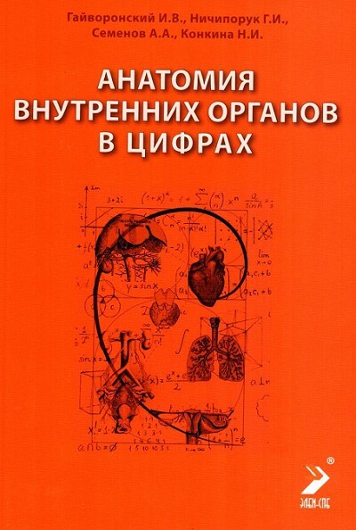 Анатомия внутренних органов в цифрах. Гайворонский. 2024 г.