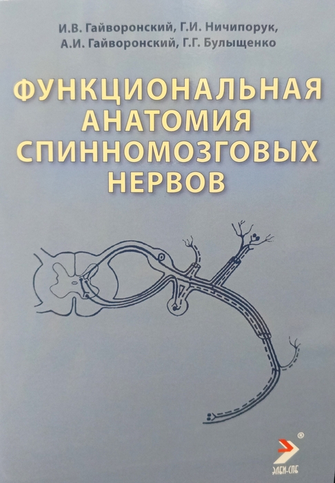 Функциональная анатомия спинномозговых нервов. Гайворонский. 2024 г.