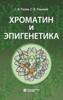 Хроматин и эпигенетика. Разин. 2026 г.