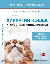 Хирургия кошек. Атлас оперативных приемов. Барнето. 2024 г. Хирургия кошек. Атлас оперативных приемов. Барнето. 2024 г.