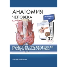 Анатомия человека: КАРТОЧКИ (32шт). Иммунная, лимфатическая и эндокринная системы. Сапин.  2018г.