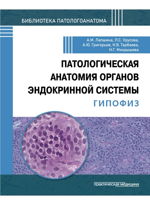 Патологическая анатомия органов эндокринной системы. Гипофиз. Лапшина. 2026 г.