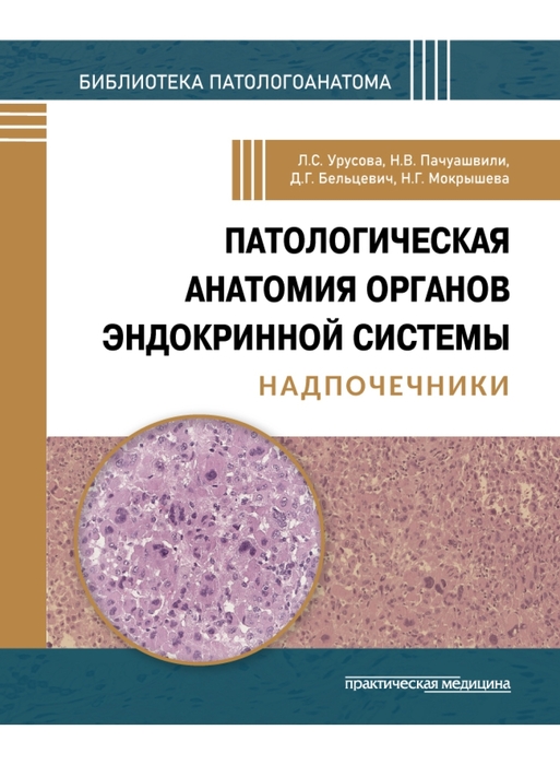 Патологическая анатомия органов эндокринной системы. Надпочечники. Урусова. 2026 г.