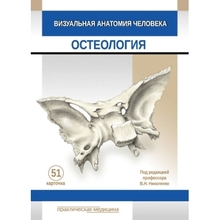 Визуальная анатомия человека. КАРТОЧКИ. Остеология. Варенцов. 2024г.