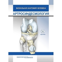 Визуальная анатомия человека. КАРТОЧКИ. Артросиндесмология (31шт.) Тимофеева. 2024г.