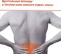 Центральные блокады в терапии боли нижнего отдела спины. Гнездилов А.В. 2015 г.