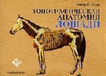 Топографическая анатомия лошади. Гуди П. 2014г.