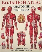 Большой атлас анатомии человека. Лучшие в мире анатомические таблицы. Твёрдый. 2018 г.