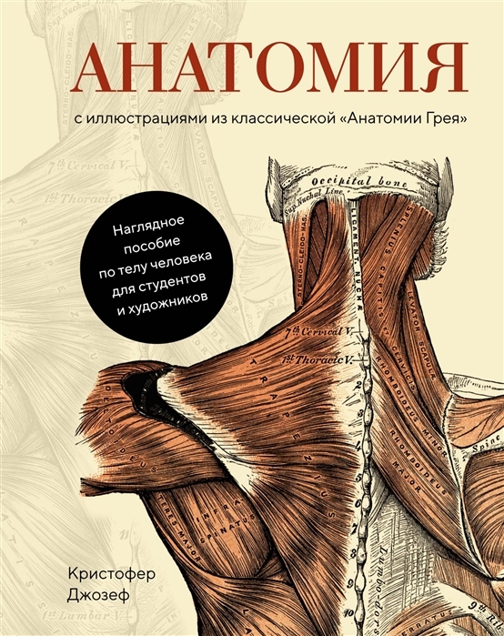 Анатомия (с иллюстрациями из классической "Анатомии Грея") Кристофер Джозеф.
