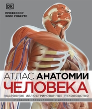 Атлас анатомии человека. Подробное иллюстрированное руководство. Элис Робертс