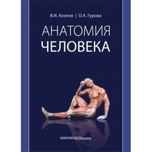 Анатомия человека: учебник. Козлов В.И., Гурова О.А. 2022г.