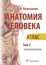 Анатомия человека. Атлас в 3 томах. Том 2. Спланхнология.  Колесников Л.Л. 2023г.