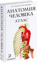  Анатомия человека. Атлас. Боянович. Ю.В., Балакирев. Н.П. 2011г. 