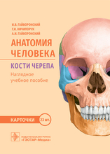 Анатомия человека. Кости черепа. Карточки. Гайворонский И.В., Ничипорук Г.И., Гайворонский А.И. 2022г.
