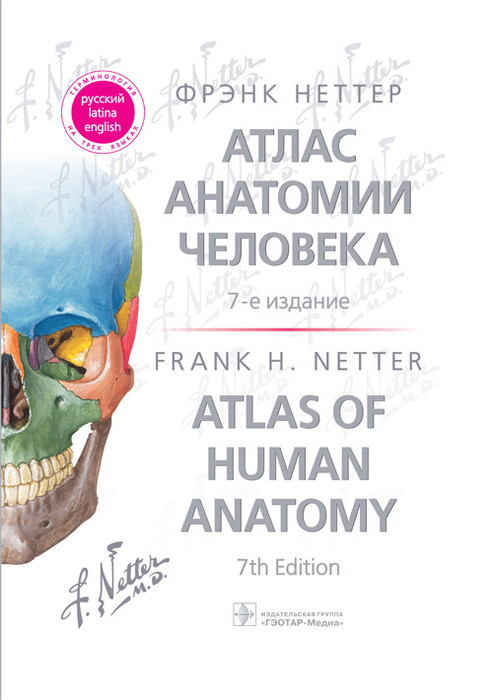 Атлас анатомии человека. Фрэнк Неттер. 7-е изд. 2022г.
