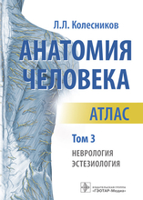 Анатомия человека. Атлас в 3-х томах. Том 3. Неврология, эстезиология. Колесников Л.Л. 2022г.
