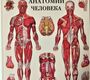 Большой атлас анатомии человека. Лучшие в мире анатомические таблицы. Твёрдый. 2021г.