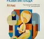 Врожденные пороки развития плода. Абильдинова. 2024г.