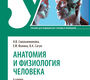 Анатомия и физиология человека. Учебник. Смольянникова. 2021г.