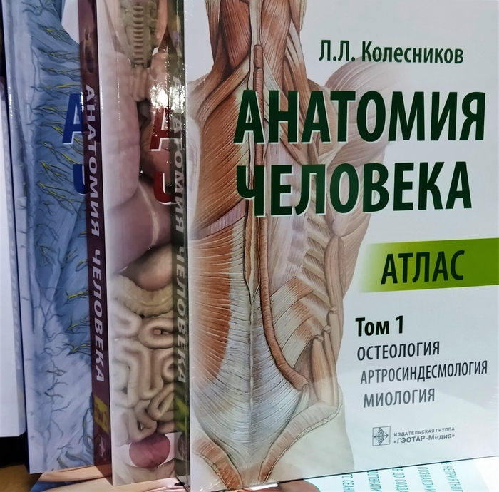 Анатомия человека. Атлас в 3-х томах. Колесников Л.Л. Комплект.