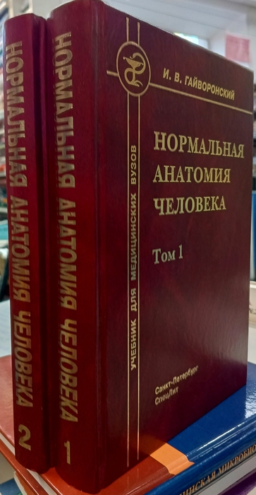 Нормальная анатомия человека. Гайворонский