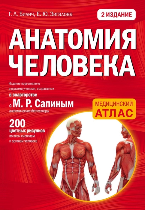 Анатомия человека. 2 издание. Г.Л. Билич, Е.Ю. Зигалова. 2022г.