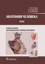 Анатомия человека. Атлас. Сапин М.Р., Брыксина З.Г., Клочкова С.В. 2022г.