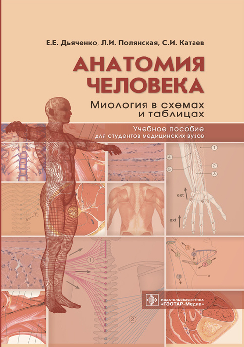 Анатомия человека: миология в схемах и таблицах. Дьяченко Е.Е., Полянская Л.И., Катаев С.И. 2021г. 