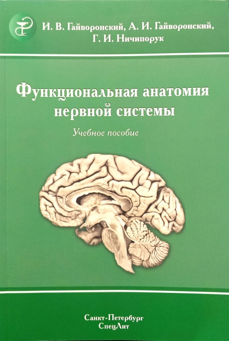 Функциональная анатомия нервной систем. Гайворонский. 2025 г