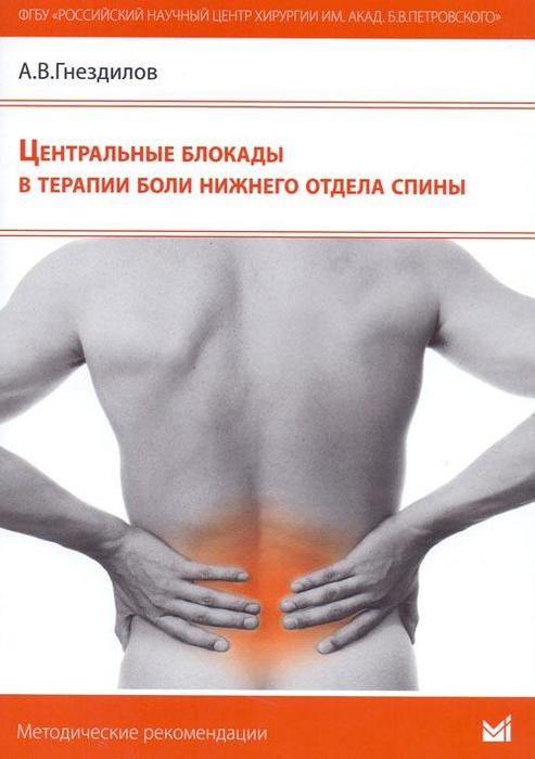 Центральные блокады в терапии боли нижнего отдела спины. Гнездилов А.В. 2015 г.