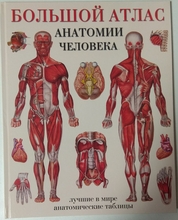 Большой атлас анатомии человека. Лучшие в мире анатомические таблицы. Мягкий. 2018 г.