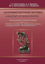Анатомия костной системы. (На английском языке). Гайворонский И.В., Курцева А.А. и др. 2014 г.