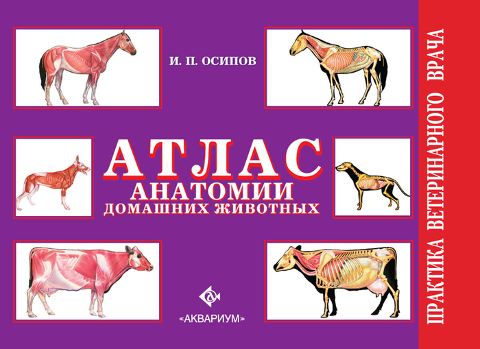 Атлас анатомии домашних животных. Осипов И. 2019 г.