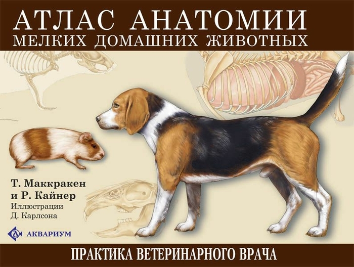 Атлас анатомии мелких домашних животных. (ЦВЕТ.) Маккракен Т., Кайнер Р. 2015 г.