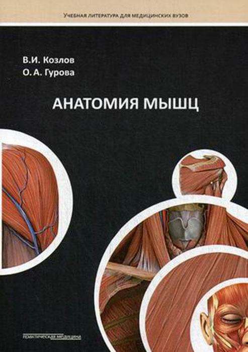Анатомия мышц. Козлов В.И., Гурова О.А. 2016 г.