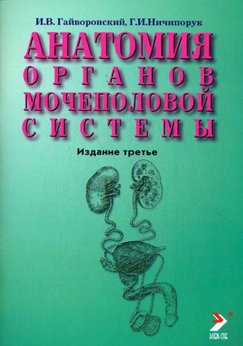 Анатомия органов мочеполовой системы. Гайворонский И.В.  2023 г.