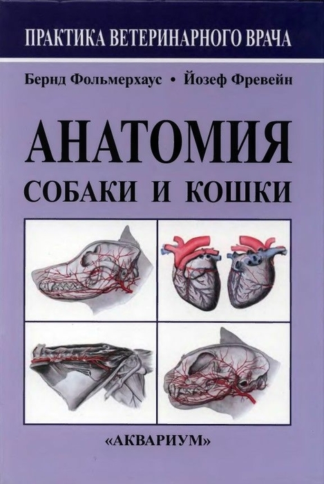 Анатомия собаки и кошки. Фольмерхаус Б., Фревейн Й. 2014 г.