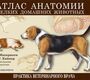 Атлас анатомии мелких домашних животных. (ЦВЕТ.) Маккракен Т., Кайнер Р. 2015 г.