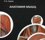 Анатомия мышц. Козлов В.И., Гурова О.А. 2016 г.