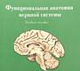 Функциональная анатомия нервной систем. Гайворонский. 2025 г