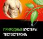 Природные бустеры тестостерона. Греков Е.А., Тюзиков И.А. 2023г.