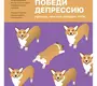 Победи депрессию прежде, чем она победит тебя. Лихи. 2025 г.